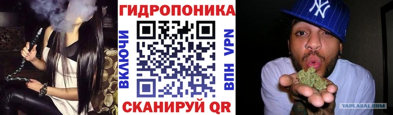Канабис гибрид  Маркс 